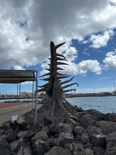 This image depicts an outdoor scene in Puerto del Rosario, Spain, centered on a large, abstract sculpture positioned on a rocky breakwater. The sculpture, several meters tall, is dark grey and organic in form, resembling a split shell or seed pod with a central opening and numerous pointed, root-like extensions protruding from its base and sides. These extensions intermingle with large, irregular dark grey and black rocks forming the immediate ground surrounding the sculpture.

To the left, a reddish-brown paved promenade runs parallel to the water. Adjacent to the promenade is a light-colored metal pergola with a slatted roof, providing shade. A small white informational sign is visible on a post near the pergola's base. The background on the right features a body of water with a gently rippled surface, indicative of a sea or harbor. Across the water, the industrial infrastructure of a port is visible, comprising multiple white and light-colored buildings, tall poles or cranes, and indistinct vessels. The sky above is partially cloudy, displaying patches of clear blue interspersed with large, white cumulus clouds. No people are present in the scene.