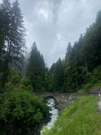 This image captures a serene and rugged mountainous landscape, likely in Champéry, Switzerland, under an overcast sky. The scene is dominated by a dense, vibrant green conifer forest, with tall evergreen trees covering rolling hills that stretch into the distance, partially obscured by mist or low clouds.
In the mid-ground, a sturdy stone bridge with a single archway spans a fast-flowing mountain stream. The water beneath the arch is turbulent and foamy white, indicative of rapids or a small waterfall. To the right of the stream and bridge, a paved road or path is visible, bordered by a low stone wall and lush green grass and bushy vegetation. Further along the road, a circular traffic sign with a red border can be seen, though its specific symbol is not discernible. Another white signpost is also faintly visible further in the distance.
The sky is a uniform grey with heavy cloud cover, suggesting an overcast day. Some of the trees, particularly in the foreground and on the left side of the image, appear to be swaying or wind-blown, hinting at breezy conditions. There are no people or animals visible, emphasizing the natural, untamed beauty of the alpine setting. The overall impression is one of peaceful natural grandeur with a hint of dramatic weather.