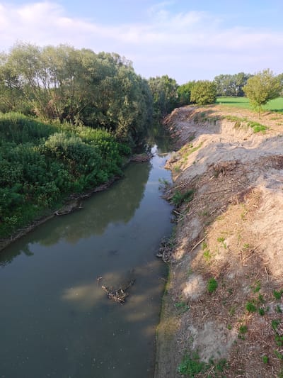 The image depicts a calm river flowing through a rural landscape under a partly cloudy sky. The left bank of the river is densely covered with lush green vegetation and trees. The right bank is characterized by a steep, sandy embankment with scattered dry branches and sparse green shoots. In the background, a field of green crops stretches towards a line of trees under a clear blue sky. The water in the river appears murky with some debris floating on the surface. The scene is devoid of any people or human activity. This setting is characteristic of the agricultural outskirts of the city of Modena, Italy, where numerous small rivers and canals meander through the countryside.