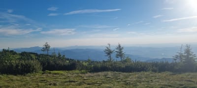 The image depicts a panoramic view from a high vantage point, likely a mountain or hill, overlooking a vast landscape of rolling hills and distant mountains. The sky is a clear blue with scattered wispy white clouds. The foreground is dominated by green grass and low-lying bushes, with several evergreen trees scattered throughout. The mid-ground features a dense forest of evergreen trees, suggesting a mountainous or forested region. In the background, layers of blue-hued mountains recede into the distance, fading into a hazy horizon. The scene suggests a natural, unpopulated environment, possibly during daylight hours, given the bright sky and sunlight. The specific location is identified as the city of Martin, Slovakia.