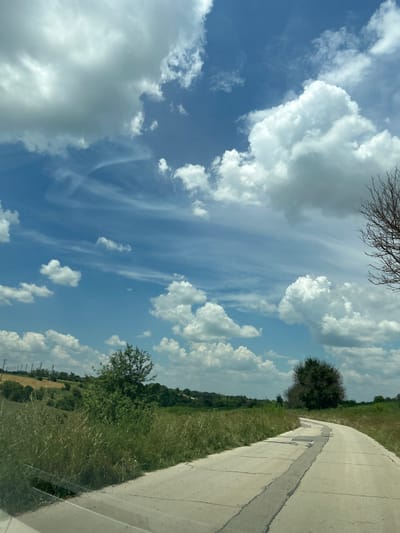 The image depicts a concrete road curving through a rural landscape under a bright blue sky filled with dramatic cumulus clouds and wispy cirrus formations. The road is cracked and patched, suggesting age and wear. On either side of the road, tall, dry grass and green vegetation dominate the scene. In the middle ground, several trees are visible, one with a full canopy and another appearing bare and skeletal. In the distance, rolling hills are dotted with more trees and some structures that appear to be houses or farm buildings. Power lines are faintly visible on the left side of the frame, indicating proximity to infrastructure. The overall impression is one of a sunny day in a somewhat unkempt, natural environment. The location is identified as Voivodino, Bulgaria. There are no people or animals visible in the image.