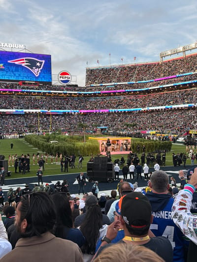 A densely packed stadium with spectators fills the frame. A large video screen shows the New England Patriots logo, and a Pepsi sign is visible. On the field, performers are on stage in front of tall green hedges and other performers are positioned on the field. The view is slightly obstructed by other spectators in the foreground.