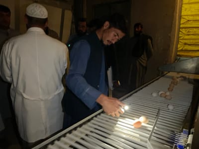 The image depicts an indoor scene at a facility in Shuyene Vosta, Afghanistan, centered around an egg processing operation. Approximately five to seven adult males are present. In the mid-ground, a male subject with dark hair and a beard, wearing a blue long-sleeved shirt and a dark vest, leans over a motorized roller conveyor belt. He holds a small, illuminated device, possibly a flashlight or candling lamp, in his right hand, directing its light onto a light brown egg situated on the conveyor belt. Various intact eggs, both white and light brown, are distributed along the conveyor belt, which extends from the right mid-frame to the left foreground. A broken eggshell, light brown in color, is visible on the belt in the immediate foreground. To the left, a male subject is partially visible from the back, wearing a white lab coat or smock and a white kufi cap. In the background, several other male subjects are present, mostly obscured by shadow, observing the activity. The environment appears to be an industrial or agricultural building with plain walls and dim ambient lighting, with a yellow-toned, possibly corrugated or textured surface visible on the upper right wall.