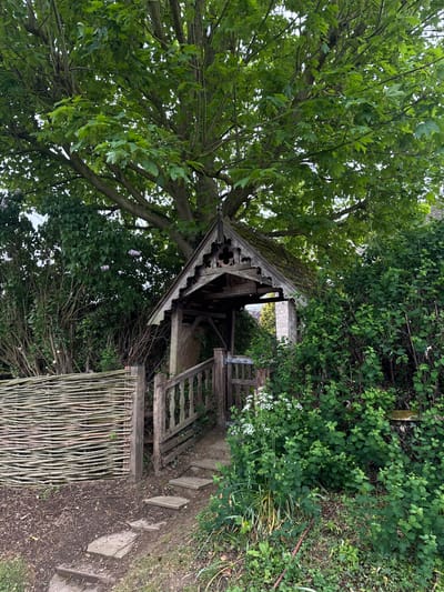This image shows a lychgate in Tinwell, United Kingdom. The structure is made of weathered wood with a decorative gabled roof covered in moss. The word "CRANBROOK" is visible on the lychgate. The lychgate is surrounded by lush greenery, including a large tree with green leaves and various shrubs and plants. A woven wattle fence is visible in the foreground, and stone steps lead up to the lychgate. The scene appears to be a quiet, natural setting within the churchyard.