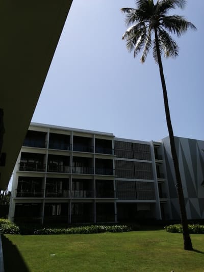 The image shows a multi-story building with a modern architectural design, featuring a grid of balconies and windows. A tall palm tree stands to the right of the building, its fronds reaching towards the clear blue sky. In the foreground, a lush green lawn stretches out, bordered by bushes. The overall scene suggests a resort or hotel environment, possibly in a tropical location. The building has a light-colored facade with darker accents around the windows and balconies. The right side of the building displays a geometric pattern in varying shades of gray. This scene is likely located in Banyuwangi, Indonesia, known for its coastal resorts and natural beauty.
