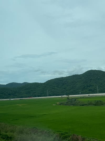The image depicts a wide view of a lush green rice field in Hoa Xuan, Vietnam, with a dense, tree-covered mountain range in the background. The sky is overcast with light gray clouds. A highway is visible running horizontally along the base of the mountains, with a few utility poles and what appear to be vehicles on it. The foreground shows a grassy verge and the edge of another field. The scene is tranquil and natural.