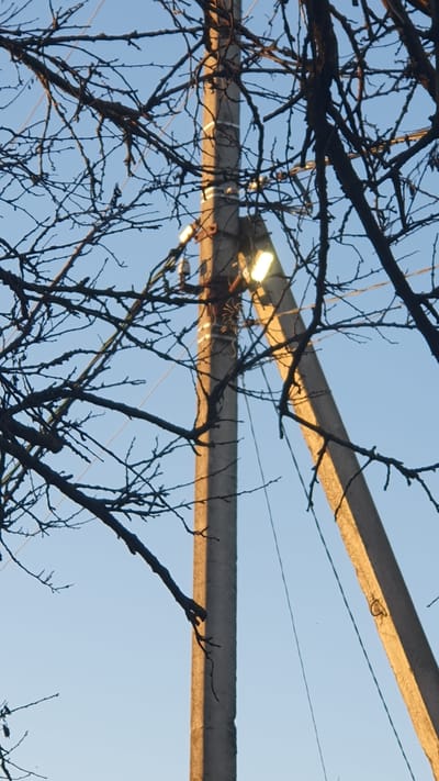 A concrete utility pole with two light fixtures attached stands in the foreground against a clear blue sky. Bare branches of a tree are visible in the foreground and mid-ground, obscuring parts of the pole and the sky. The light fixtures are illuminated, casting a yellowish glow. A second, leaning concrete pole is visible in the background to the right. The image appears to be taken in an outdoor environment, possibly in the city of Ust-Labinsk, Russia. There are no people or animals in the image.