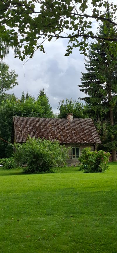This is a vertical, eye-level, medium shot of a small, weathered wooden house with a rusty, corrugated roof. The house is situated in a grassy field, with several trees and bushes surrounding it. In the background, a larger evergreen tree stands to the right of the house, and a cluster of deciduous trees are visible behind it. The sky is overcast with gray clouds. The location is the village of Valma, Estonia.