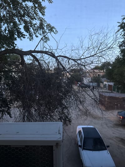 The image captures an outdoor scene in Zhanaozen, Kazakhstan, likely during twilight or early evening. A leafless, gnarled tree with intricate branches dominates the foreground, its silhouette stark against a pale, overcast sky. To the right of the tree, a white sedan is parked, its dark tinted windows reflecting the dim light. The car's design suggests it might be a minivan or SUV.

In the background, buildings of varying heights and architectural styles are visible, some appearing to be residential or small commercial establishments. A rough, unpaved surface, possibly a dirt road or parking area, lies between the buildings and the foreground elements. A portion of a white structure with a grilled opening, possibly an air conditioning unit or a ventilation grate, is visible in the lower right corner of the frame. The overall mood is somewhat somber and still, with no people or overt activity evident. The weather appears calm, with the sky suggesting the day is ending.