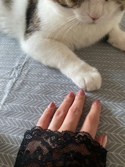 The image shows a close-up, overhead view of a person's hand reaching towards a cat's paw. The cat is lying on its back, with its belly and front paw facing upwards. The cat is predominantly white with patches of brown and gray tabby markings. Its eyes are closed, and its nose is pink. Long white whiskers extend from its muzzle. The cat's paw is fluffy and white.
The person's hand is on the right side of the frame. The fingers are extended, and the nails are painted with a glittery, rose-gold polish. The hand is wearing a black lace glove or sleeve that extends up the wrist, with a scalloped edge.
Both the cat and the hand are resting on a grey surface with a white chevron or herringbone pattern. The lighting appears to be natural and soft, suggesting it could be daytime. The overall mood is calm and intimate, possibly depicting a moment of affection or play between a person and their pet. There is no visible text in the image. The location context is Rinteln, Germany.