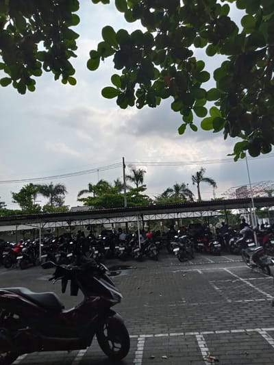 The image depicts a large, outdoor motorcycle parking lot under a heavily overcast sky. In the immediate foreground, dense, dark green foliage from a tree frames the top and left of the shot. A dark red or maroon scooter is prominently parked in the lower-left foreground, partially in shadow on a paved surface of interlocking bricks, marked with faded white parking lines.

The midground is dominated by hundreds of motorcycles, predominantly scooters, parked tightly together beneath a long, covered structure with a metal roof supported by pillars. Several individuals are visible amidst the parked motorcycles; some appear to be seated on their bikes, while others are standing or walking. Their forms are largely obscured by the sheer number of vehicles.

In the background, beyond the covered parking, more lush greenery, including tall palm trees, rises against the cloudy sky. Overhead power lines stretch across the mid-to-upper section of the image. The overall lighting is soft and diffused due to the thick cloud cover, indicating a cloudy daytime setting. No specific event is unfolding other than the typical activity of a bustling parking facility. While license plates are visible on many motorcycles, no discernible text is clearly legible due to the distance and resolution. The scene evokes a common sight in urban or semi-urban areas in places like Nglundo, Indonesia, where motorcycles are a primary mode of transportation.
