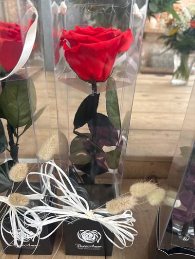 The image displays a close-up view of several preserved red roses in clear plastic packaging, likely for sale in a shop. One rose is prominently featured in the foreground, showcasing its vibrant red petals, dark green leaves, and stem. The rose is encased in a tall, clear rectangular container. Below the rose, a small black box with white ribbon and decorative fluffy stems is visible. The box has the logo "Rose Amor" and the tagline "ROSES THAT LAST FOREVER" printed in white. Other similar rose arrangements are partially visible to the left and right. The background suggests a retail environment with wooden surfaces and other floral arrangements in the distance. There are no people or animals in the image. The lighting is soft and natural.