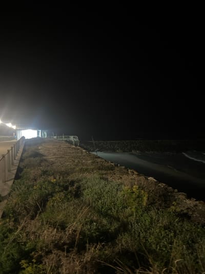 Night scene featuring a beach, dark water, and a cliff covered in vegetation. Steps lead upwards, illuminated by bright lights, suggesting a path. A dark, almost black sky contrasts with the lighter elements of the scene. The image is rotated, placing the horizon vertically along the right side of the frame. Vegetation and rock form the coastal landscape, adjacent to the water's edge.