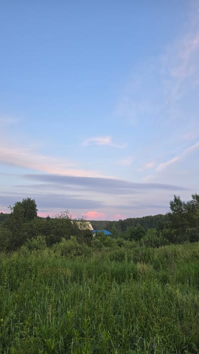 The image depicts a serene rural landscape at dusk, with a soft palette of blues, pinks, and greens. The sky transitions from a pale blue at the top to lighter shades with streaks of pink and white clouds closer to the horizon. Below the sky, a dense line of green trees forms the background, with a small, light-colored structure with a blue roof partially visible amongst them. In the foreground, a field of tall, green grass and other wild vegetation stretches across the frame, indicating a natural, undeveloped area. The scene is quiet and still, suggesting a peaceful, natural setting within the countryside. It is implied to be in the vicinity of Малая Белоносова, Russia, due to the characteristic rural Russian landscape elements. There are no people or animals visible in the image.