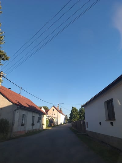 The image captures a street scene in Bošovice, Czechia, under a clear blue sky. The perspective is from a low angle, looking down a paved road lined with houses. On the left, a house with a red tiled roof and beige walls is visible, featuring a window with flowers and a stone foundation. Further down the street, another house with a red roof is partially seen. Across the street, a white house with dark window frames and small black fixtures is prominent. In the distance, a larger building with an arched entrance and a red roof stands, flanked by trees. Power lines stretch diagonally across the upper portion of the frame, with a utility pole on the left. The overall impression is of a quiet, rural village street.