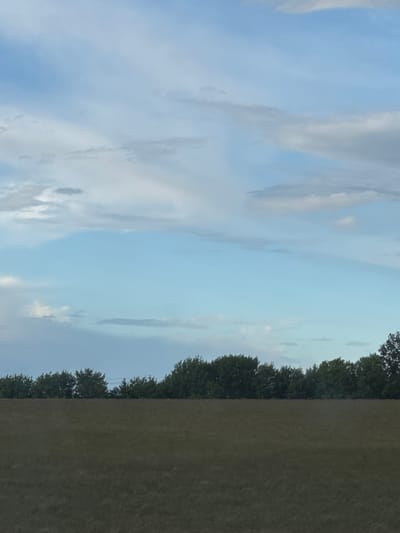 A horizontal, full shot shows a cloudy, blue sky above a distant treeline and a foreground field. The sky takes up the top two-thirds of the frame and is filled with white and grey clouds against a light blue background. Below the sky, a dark green treeline stretches horizontally across the mid-ground. The field in the foreground is a muted brown and is sparsely populated with dried grass. The image appears to have been taken outdoors in a rural setting, likely the Бальшавіцкі сельскі Савет in Belarus.