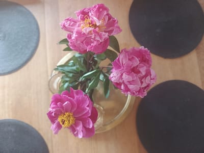 A top-down view captures a bouquet of three bright pink peonies in a clear glass vase resting on a gold-colored tray. The tray is placed on a wooden surface, likely a table. Two dark, circular placemats are visible on the table, one on the left and another on the right side of the frame. The background consists of the wooden surface and a portion of a wall. The lighting suggests an indoor setting. This scene is located in Avižieniai, Lithuania.