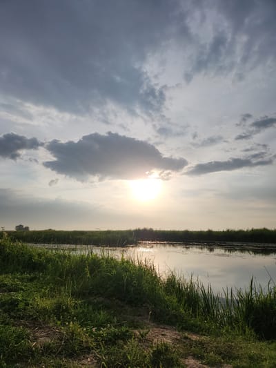 The image depicts a natural scene, likely a landscape, oriented vertically. The right side of the image features a grassy embankment leading down to a body of water, possibly a river or a canal. The water's surface reflects the sky and sunlight, creating a shimmering effect. Tall green grass and some wildflowers grow along the embankment, indicating a rural or natural setting.

The sky on the left side of the image is filled with clouds, with the sun visible and partially obscured by a large cloud formation. The sun appears bright, suggesting it is either sunrise or sunset. The weather seems to be partly cloudy, with a soft light illuminating the scene.

There are no visible people or man-made objects in the immediate foreground or midground, emphasizing the natural beauty of the location. In the distance, a few small trees are visible on the horizon. The overall mood conveyed by the image is peaceful and serene, with the gentle light and natural elements creating a tranquil atmosphere. The location is specified as Atameken, Kazakhstan.