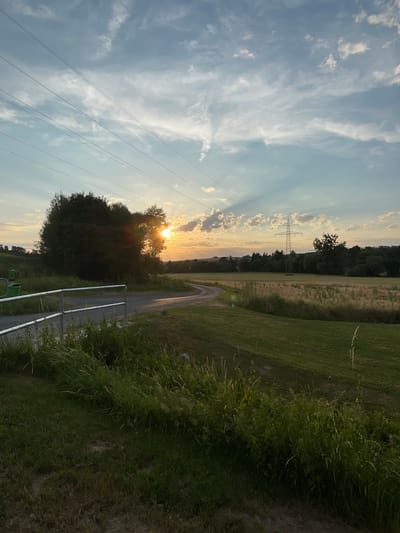 The image shows a rural landscape at sunset, likely in or near Neukirchen, Germany. In the foreground, there is a metallic fence bordering a grassy area with tall wild grasses. A winding dirt path curves into the middle ground. To the left, a large, dense tree obscures part of the setting sun, which is casting rays through its branches and illuminating the sky with warm tones of orange and yellow. In the distance, a field of dry crops, possibly wheat or barley, stretches across the landscape, bordered by a line of trees. A prominent electrical pylon stands tall in the mid-right of the frame, silhouetted against the sky. Power lines stretch across the upper portion of the image. The sky is a mix of blue with scattered white and grey clouds, some of which are catching the sunset light. The overall scene depicts a tranquil, natural environment during the golden hour.