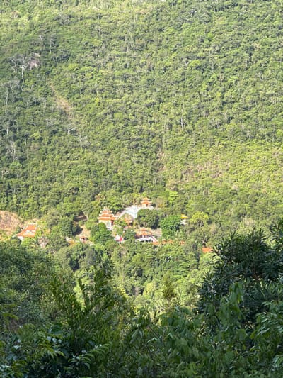 The image depicts a dense, verdant forest in Moo 7, Thailand, seen from an elevated perspective. Amidst the foliage, a cluster of buildings with distinctive orange tile roofs is visible, suggesting a temple or a religious complex. The buildings are nestled within the trees, partially obscured by the surrounding vegetation. The forest stretches extensively, covering the landscape in a carpet of green. The edges of the frame are marked by overhanging tree branches, providing a sense of depth to the scene. The lighting is bright, casting shadows and highlights across the canopy. The scene appears tranquil and remote, emphasizing the integration of the architecture with the natural environment.