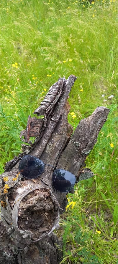 This image, taken in Zolota Poliana, Ukraine, presents a serene outdoor scene centered around a weathered wooden log and a pair of sunglasses. The log, characterized by its rough, decaying bark and irregular shape, stretches diagonally across the frame. Its surface is marked by deep grooves, peeling layers, and patches of green and orange lichen, indicating its age and exposure to the elements.
Resting on the upper right section of the log is a pair of black-framed sunglasses with dark, reflective lenses. The lenses show subtle reflections of the surrounding natural environment, hinting at trees or an open sky.
The background is a vibrant blur of lush green vegetation, dominated by tall grasses and various wild plants. Numerous small yellow wildflowers are scattered throughout the greenery, adding bright accents to the verdant landscape. The lighting is bright and natural, suggesting it is daytime, possibly morning or late afternoon, with soft illumination that avoids harsh shadows.
The scene evokes a sense of quietude and a temporary pause, as if the sunglasses were casually set down during a moment of relaxation in nature. There is no visible text in the image.