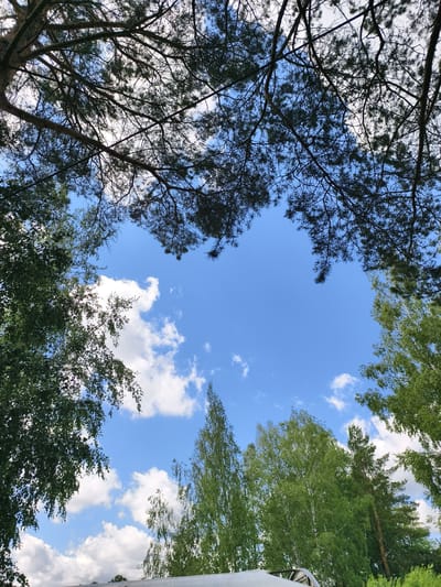 The image shows a low-angle view looking up at a bright blue sky framed by the silhouettes of trees. Pine branches with needles are visible in the upper portion of the frame, while deciduous trees with green leaves are seen on the left and right sides. Scattered white clouds drift across the sky. The overall impression is of a natural outdoor scene, possibly a forest or park. There are no people or discernible structures in the image, except for what appears to be a white, metallic roof-like structure at the very bottom edge, which is partially obscured by foliage. The scene is likely set in a rural or natural environment, given the dominance of trees and sky. Without further information, the specific location in Malaya Shil'na, Russia cannot be confirmed from the visual content alone.