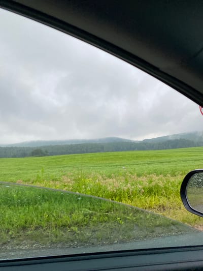 The image depicts a view through a car window of a rural landscape under an overcast sky. In the foreground, a section of the car's interior is visible, including the black frame of the window and a portion of the side mirror, which shows reflections of raindrops. The window itself has some moisture on it. Beyond the window, a vibrant green field stretches into the distance, dotted with patches of taller, dry grass and some sparse vegetation. In the mid-ground, a dense forest covers rolling hills, with the trees fading into the misty, grey sky. The overall impression is one of a subdued, damp atmosphere, typical of a cloudy day in a natural setting. There are no people or animals visible in the scene, nor any specific identifying landmarks that would pinpoint it to the city of Берёзовая Роща, Russia, or any other location.