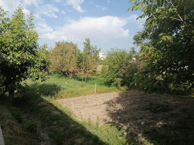 This is a photograph of an outdoor scene, possibly a garden or rural area, under a partly cloudy sky. The foreground features a patch of tilled soil with some dry vegetation scattered on it. A single wooden stake stands upright in the soil. To the left, a sloping area is covered in green grass and shadows from overhead trees. In the midground and background, there are several trees with lush green foliage, some with leaves showing hints of autumn colors. The sky is blue with scattered white clouds. A white building is partially visible through the trees in the distance. The overall impression is a peaceful, natural setting.