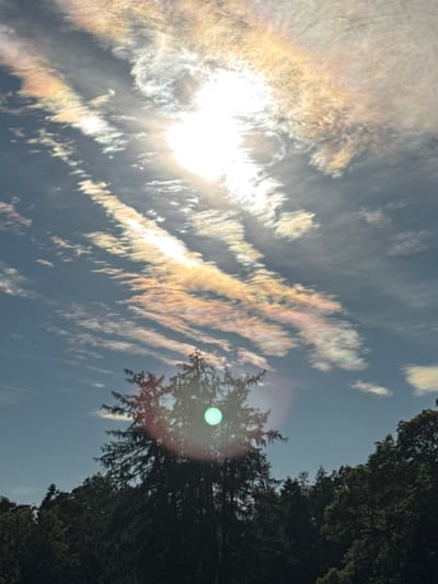 The image, taken in Keila-Joa alevik, Estonia, depicts a dynamic sky filled with iridescent clouds illuminated by the sun. The clouds exhibit a range of colors, from whites and yellows to pinks and blues, suggesting a phenomenon like a sun dog or iridescent clouds. These clouds are arranged in striated patterns, some appearing wispy and stretched across the sky, while others are more textured. The sun itself is a bright, blown-out white light source, partially obscured by the clouds. In the foreground, silhouetted against the bright sky, are the dark green tops of coniferous and deciduous trees. The topmost branches of a large coniferous tree are visible, with a distinct green circular lens flare or light anomaly appearing on its branches. The overall environment appears to be an outdoor natural setting, likely a park or forested area, given the presence of the trees. The sky dominates the composition, emphasizing the atmospheric conditions and light display.