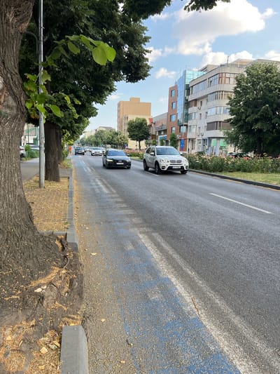 A vertical, slightly angled medium shot captures a street scene in Constanța, Romania, on a bright, cloudy day. The foreground is dominated by the thick, textured bark of a large tree, with a young green plant growing from its trunk and branches extending upwards, obscuring parts of the sky and buildings.
The street itself, paved with asphalt, is wet, suggesting recent rain. It's lined with a blue painted lane and white markings. A line of cars is driving on the wet road, with a white BMW SUV in the middle lane and a black Audi sedan behind it. The cars are moving away from the viewer, heading down a long, straight road.
To the left of the street, a sidewalk is visible, bordered by a grey curb. Beyond the sidewalk, trees with lush green foliage line the street, interspersed with buildings. The buildings are a mix of modern and older styles, with concrete facades, large windows, and balconies. One building on the left features a striking glass facade.
The overall impression is of an urban environment, perhaps a busy street with a mix of residential and commercial buildings, given the presence of storefronts visible on some of the buildings. The time of day appears to be daytime, likely late morning or early afternoon, judging by the bright but diffused sunlight. The weather is overcast, with clouds filling much of the sky. No people are clearly visible in the frame.