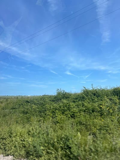 This image captures a vibrant daytime scene, likely taken from inside a moving vehicle, with the original orientation being landscape (requiring a 90-degree counter-clockwise rotation for proper viewing). The upper portion of the frame is dominated by a clear, bright blue sky, streaked with wispy white clouds, possibly cirrus or contrails. Four black utility lines run diagonally across the top-left section of the sky.
The lower half of the image features a dense, verdant green hedge or thick vegetation, suggesting a rural or semi-rural setting. Beyond this hedge, towards the right side of the frame, a flat, distant landscape under the same blue sky is visible, with a faint horizon line. Reflections are visible in the bottom-left portion of the image, superimposing a blurry view of what appears to be part of a vehicle's interior (like a dashboard or window frame) over the sky and power lines, confirming the perspective from within a vehicle.
The weather is sunny and clear. No people or animals are visible, and there is no discernible text. The scene depicts a tranquil, natural environment, with hints of human infrastructure in the form of power lines. The location context provided is Kumanovo, Bulgaria, though no specific visual cues within the image confirm this location beyond a general rural landscape.
