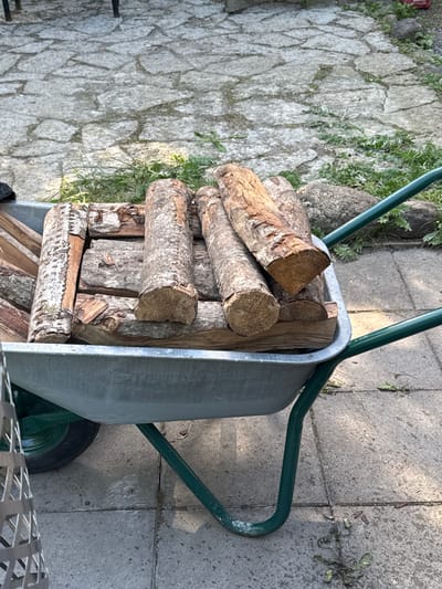 The image shows a wheelbarrow filled with cut logs, likely for firewood. The wheelbarrow is grey and has green handles and a green wheel. It is positioned on a paved patio area. To the left of the wheelbarrow, there is a stone pathway with some greenery growing between the stones. To the right and behind the wheelbarrow, the ground is also paved with grey concrete slabs, with some dried leaves and grass scattered on the surface. The scene appears to be outdoors, in daylight, with shadows suggesting it could be a sunny day. The logs are of varying sizes and appear to be a mix of hardwood and softwood, with visible bark and wood grain. There is no text visible in the image. The overall impression is one of preparation for a cold season, with the firewood neatly stacked in the wheelbarrow. The location context provided is Saue, Estonia, which is consistent with an outdoor setting in a region that experiences colder weather.