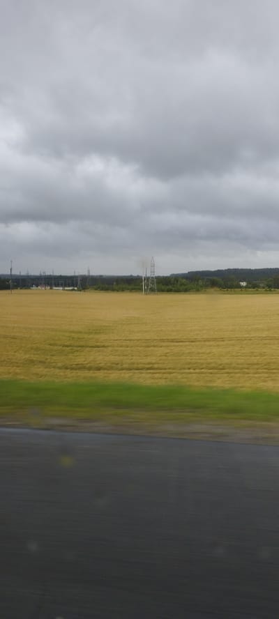The image shows a landscape scene taken from a vehicle in motion, likely a road. The foreground consists of a dark, textured surface, possibly asphalt or tar, with some faint circular reflections. Above this, a blurred green strip suggests vegetation, possibly grass or a roadside verge. The middle ground is dominated by a vast field of golden-yellow crops, appearing to be wheat or barley, stretching towards a distant treeline. Scattered throughout the field and along the horizon are several tall, metallic pylons, characteristic of power lines. The background features a dense, dark green forest. The sky is overcast with heavy, gray clouds, creating a muted and somber atmosphere. The overall scene is a rural landscape with industrial elements, likely located in the agricultural region of Путрышкаўскі сельскі Савет, Belarus, given the presence of such power infrastructure in a rural setting. No people or animals are visible in the image.