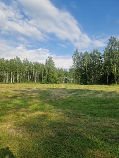 This is a landscape photograph taken in Rikava, Latvia. The image depicts a partially mowed grassy field in the foreground, with shadows cast from an unseen object on the left. In the middle ground, there is a distinct strip of mowed grass, indicating recent agricultural activity. A line of deciduous trees, primarily birches with their white bark, forms a dense forest border along the horizon. The sky above is a clear blue, punctuated by scattered white cumulus clouds, suggesting fair weather. There are no people or animals prominently visible in the scene.