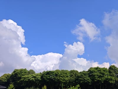 The image depicts a bright blue sky with scattered white cumulus clouds. A dense line of lush green trees forms the horizon. The perspective is looking upwards towards the sky from ground level, suggesting an outdoor scene, likely in a natural or semi-natural environment. The setting appears to be Dörpen, Germany, based on the provided context, though there are no specific landmarks to confirm this visually within the image itself. The scene is calm and serene, with no visible people or activity.