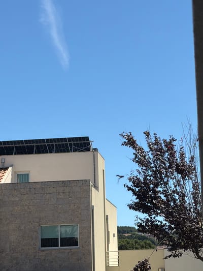 This media file captures an upward-looking view of a bright, clear sky, with a portion of a building in the lower right and a tree branch in the upper right. The building appears modern, with a light-colored facade and a section covered in grey stone tiles. A prominent feature of the building is a vertical array of solar panels on its side. A window with a white frame is visible on the tiled section, reflecting the sky and possibly interior lights. The tree branch, with dark purple or reddish leaves, extends from the upper right of the frame, partially obscuring the sky. A small, dark object, possibly a bird or an insect, is captured mid-flight in the sky. A faint, wispy cloud is present in the upper left portion of the sky. The lighting suggests it is daytime, likely with bright sunshine given the clear sky. The overall scene conveys a sense of an urban or suburban environment with modern architecture and natural elements. There is no visible text in the image. The location context provided is Gondomar, Portugal.