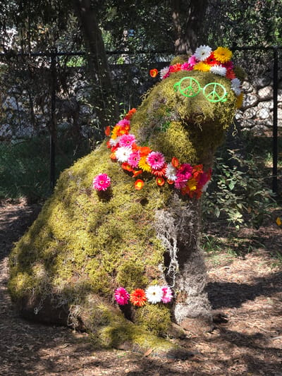 The image shows a moss-covered structure adorned with bright flowers and green peace-sign-shaped glasses, possibly a whimsical display in a garden or park. The moss covers what appears to be a log or large piece of wood. The flowers are a mix of colors including pink, white, yellow, and orange. The background includes foliage, trees, and a chain-link fence, suggesting an outdoor setting within a managed landscape. Based on the availability of the structure in this landscape, this looks like the Huntington Gardens located in Pasadena, CA.