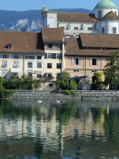 The image shows a body of water in front of a row of buildings in Solothurn, Switzerland. The buildings are of varying heights and architectural styles, with some featuring red tile roofs and others a more classical facade. In the background, a large white building with a green dome and a cross can be seen, likely a church or cathedral. The water reflects the buildings and the sky, creating a rippling, distorted image. Two white swans are swimming in the foreground, their reflections also visible on the water's surface. The overall scene is peaceful and picturesque, capturing a moment of tranquility in the Swiss city.