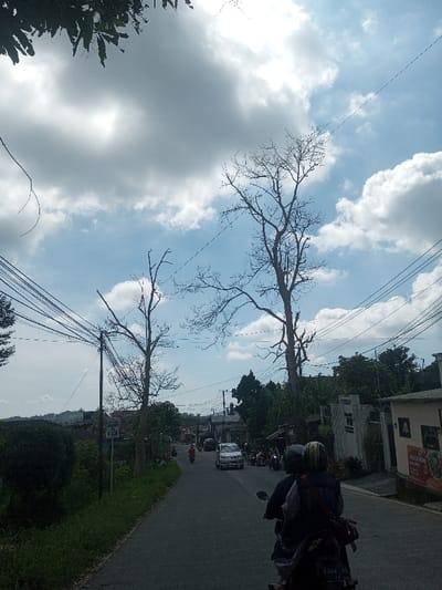 The image displays a street scene located in Naung Bo Oe, Myanmar, under a sky with scattered white and grey clouds and patches of clear blue. In the immediate foreground, the rear view of a motorcycle with two occupants is visible on an asphalt road that recedes into the distance. The driver wears a dark helmet, while the passenger wears a striped helmet and carries a red bag over the left shoulder. The motorcycle's license plate displays '4384 JS'.

On the left side of the road, a dark utility pole stands, from which numerous black electrical wires extend across the frame. Below the wires, green grass and dense foliage line the roadside, along with a concrete signpost featuring green and white elements. Two prominent, leafless deciduous trees with intricate branch structures are positioned in the mid-ground, silhouetted against the sky.

On the right side of the road, a series of buildings are present. One building features a white, decorative fence or gate structure with partially legible text including 'WELCOME'. Adjacent to this, another building displays a large, vertical sign with text that includes 'WARUNG SEAFOOD' and 'OPEN'. The road ahead shows ongoing traffic, including a silver car moving away from the viewer and multiple other motorcycles, some of which appear to be parked or waiting on the right shoulder of the road. Hills and additional structures are visible in the background under the horizon line. Overhead, dark green foliage from a tree is visible in the upper left corner of the frame.