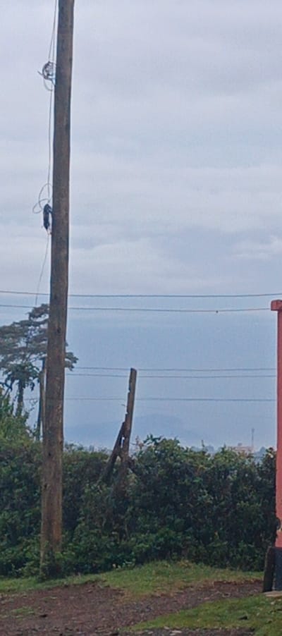 A wooden utility pole dominates the left side of the image, with wires running alongside it. At the top, there is a junction box. Power lines stretch across the center of the frame. A fractured wooden post stands amidst dense green vegetation. In the distance, there are faint hints of a cityscape under a cloudy sky. A portion of a red structure is visible on the right edge. The foreground shows a dirt and grassy surface.