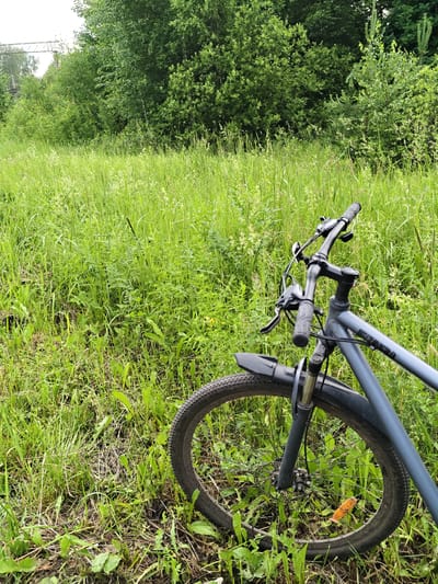 A gray bicycle is leaning on its side in a grassy field. The bicycle is positioned in the foreground, with its handlebars and front wheel visible. The surrounding environment is lush and green, with tall grass and trees in the background. The scene appears to be a natural, outdoor setting. The image was taken in Sudak, Russia.