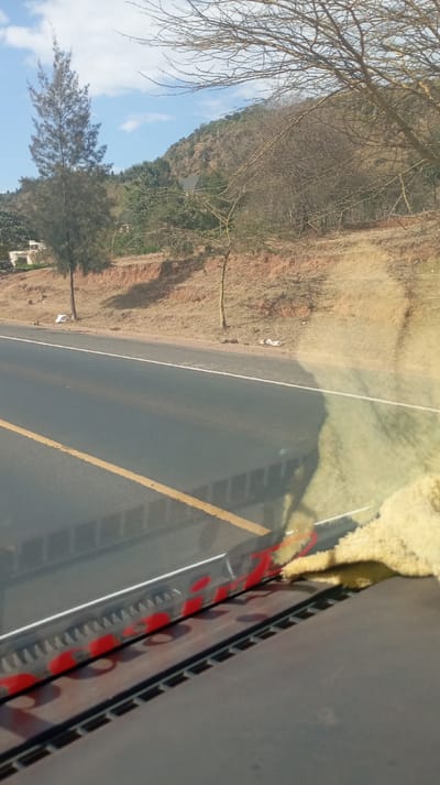 A roadside view from inside a vehicle. A two-lane road with a yellow dividing line runs alongside a dry, brown embankment with sparse vegetation. A tall, slender tree stands near the road. A forested hill rises in the background beneath a partly cloudy sky. The dashboard, featuring red lettering and a beige object, is visible in the foreground.