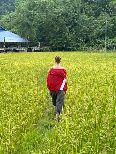 This image depicts a person standing in a vibrant green rice paddy field, viewed from behind. The individual wears a bright red top with a diagonal white stripe across the back, paired with dark-colored pants. They are facing away from the camera, seemingly observing the expansive field or walking through it.
The rice plants in the foreground and midground are lush and densely packed, showcasing varying shades of green and yellow, indicating they are mature or nearing harvest. In the background, a thick wall of verdant trees and tropical foliage creates a natural boundary. Towards the left side of the image, nestled among the trees, are several rustic structures, one distinctly identifiable by its bright blue tarp roof. A tall, slender metallic pole stands upright in the left background, with thin lines, possibly power lines or clotheslines, extending horizontally from it across the scene.
The lighting appears soft and diffused, suggesting an overcast day or early morning/late afternoon, as there are no harsh shadows. The scene portrays a tranquil, rural agricultural landscape characteristic of Ngọc Đường Commune, Vietnam. No visible text is present in the image.