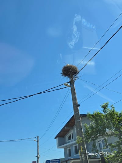 A low-angle shot shows a utility pole supporting electrical wires against a bright blue sky. A large bird nest sits atop the pole. A street sign reading "Планиница Planinitsa 5" is visible on another pole to the right. Part of a building with windows and green foliage is in the upper right corner. "Galaxy S25 Ultra" is printed along the right side of the image. Daskotna, Bulgaria is assumed based on the street sign.