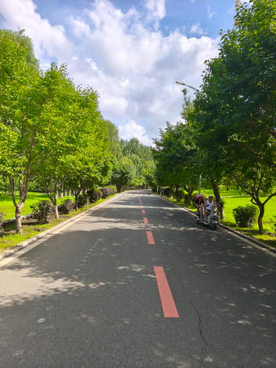 The image shows a paved road in Nanguan District, China, bordered by lush green trees and grass. The road has a dashed red line marking its center and a white line along its edge. Sunlight filters through the leaves, casting dappled shadows on the asphalt. On the right side of the road, an elderly couple is riding a small electric vehicle. The sky above is blue with scattered white clouds. The scene depicts a serene park or scenic road, likely a popular spot for leisurely outdoor activities.