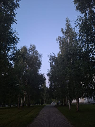 The image depicts a paved pathway lined with trees, likely in a park or residential area. The sky is clear and a pale blue, indicating either early morning or late evening. The pathway is constructed of reddish-brown brick pavers, and it recedes into the distance, flanked by lush green grass and numerous tall trees with dark green foliage. The trees are predominantly birch trees, characterized by their white bark and slender trunks. In the background, on the right side, a portion of a light-colored building is visible. On the left side of the pathway, several people are present. A group of individuals, including at least one adult and a child, appear to be interacting. The overall impression is one of a quiet, serene outdoor scene, possibly in a suburban or park setting.