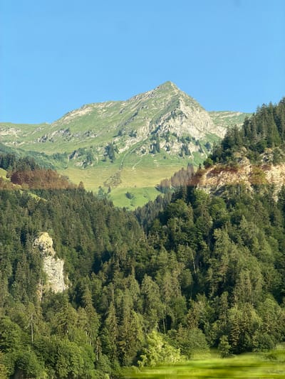 The image depicts a mountainous landscape with a clear blue sky. The scene is dominated by a steep, grassy mountain face on the left, with rocky outcrops and patches of sparse vegetation. A dense forest of coniferous trees covers the slopes on the right side of the image, creating a stark contrast with the open mountain terrain. The trees appear lush and green, suggesting a temperate climate and likely summertime. The lighting suggests it is daytime, with sunlight illuminating the mountain and casting shadows within the forest.

The orientation of the image is sideways, with the sky appearing on the left and the mountain and forest on the right. This unusual perspective might be due to the way the photo was taken or a deliberate artistic choice. There are no people or discernible objects in the scene, making it a purely natural landscape. The scale of the mountains and the density of the forest suggest a remote and wild location.

Given the context of Visp, Switzerland, the scene is likely representative of the Swiss Alps, known for their dramatic peaks, alpine meadows, and extensive forests. The absence of any man-made structures or signs of human activity further emphasizes the natural and untamed character of the environment. The image evokes a sense of grandeur and tranquility associated with alpine scenery. The weather appears to be clear and sunny. There is no visible text within the image.