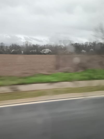 The photograph, seemingly taken from a moving vehicle, presents a rural scene on what appears to be an overcast day. The foreground is dominated by asphalt road with a white lane marking. Beyond the road, there is a strip of green vegetation, likely roadside growth. A field with tilled brown soil is visible, stretching toward a line of bare trees and trees with clusters of white blossoms. The background shows a dull grey sky. No people are visible. The absence of sharp details throughout the image suggests motion blur. The location is stated to be Dolno Sahrane, Bulgaria, although there are no specific landmarks to confirm the location.
