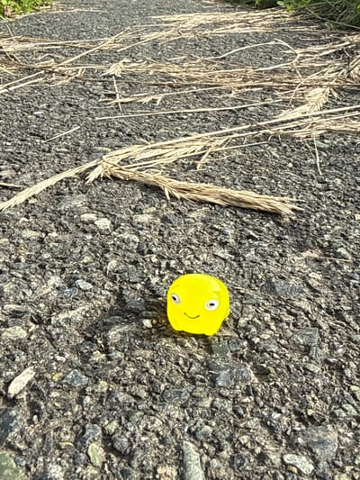 This media file shows a small, yellow, toy figurine of a smiley face lying on a dark, asphalt-like surface with visible small stones and gravel. The figurine has two black dots for eyes and a black curved line for a mouth, giving it a cheerful expression. To the left of the figurine, there are several dry, light-colored blades of grass or wheat stalks. The lighting suggests it is daytime, possibly late morning or afternoon, with the sun casting shadows and highlighting the textures of the ground and the grass. The overall scene appears to be outdoors, possibly on a roadside or a path, given the asphalt and dry vegetation. There is no visible text in the image. The image is cropped to focus on the figurine and its immediate surroundings, with a hint of green vegetation at the bottom left corner.