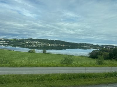 The image depicts a tranquil landscape scene in Levanger, Norway. In the foreground, a paved road runs horizontally across the frame, bordered by lush green grass with scattered white wildflowers. Beyond the road, a freshly mown green field displays distinct horizontal striations, suggesting recent agricultural activity. A scattering of small trees and bushes dot the field.
In the mid-ground, a calm body of water, likely a fjord or lake, acts as a mirror, reflecting the sky and the distant shoreline. The water's edge is fringed with reeds and some darker patches of vegetation.
The background features a densely forested hillside that slopes down to the water. Dotted along the hillside are numerous buildings, primarily white with some red roofs, indicating a residential area. The trees are a mix of deciduous and coniferous. Further in the distance, on the right side of the frame, a more modern development with multi-story buildings is visible, contrasting with the older settlement.
The sky is overcast with a layer of thick, gray clouds, which are slightly illuminated from above, suggesting it might be a bright, cloudy day. The overall impression is one of a peaceful, rural setting within a Norwegian coastal town. There are no people or animals visible in the image.